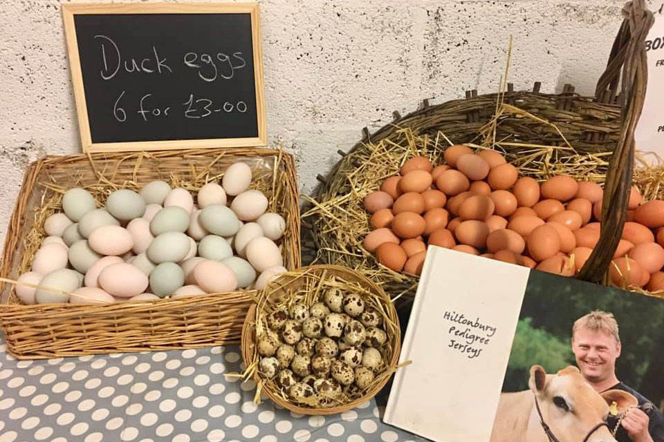 Buy Duck Eggs & Chicken Eggs On Our Farm